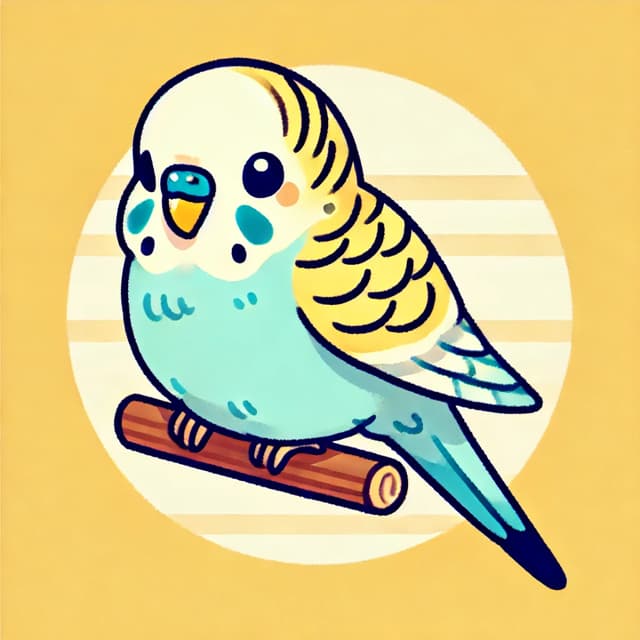I am a lonely bird - Questions