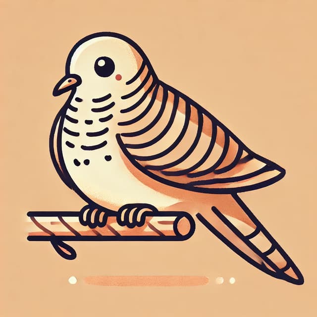 My dumb Zebra dove 🕊️